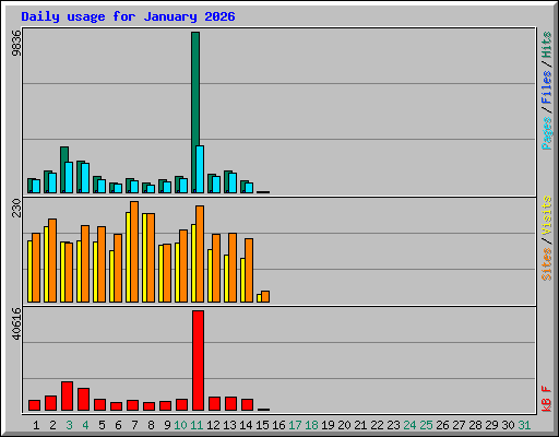 Daily usage for January 2026