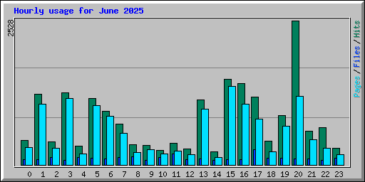 Hourly usage for June 2025