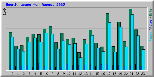 Hourly usage for August 2025