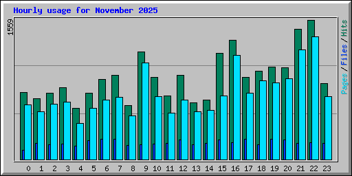 Hourly usage for November 2025