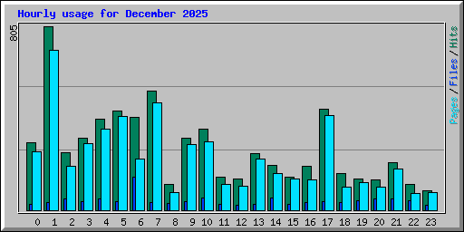 Hourly usage for December 2025