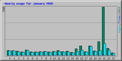 Hourly usage for January 2026